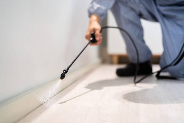 Professional exterminator conducting IPM assessment in Alamo